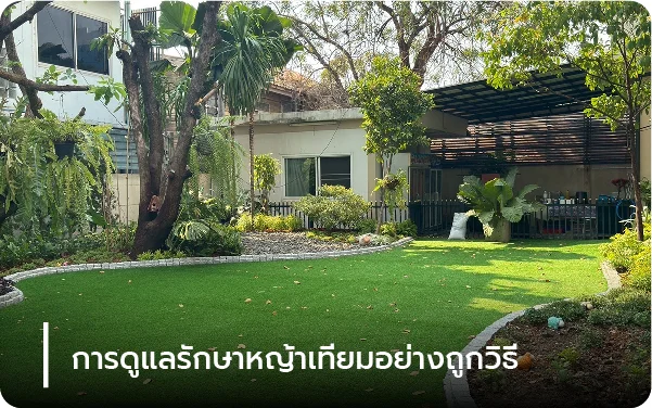 การดูแลรักษาหญ้าเทียมอย่างถูกวิธี