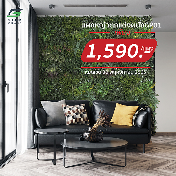 หญ้าติดผนัง