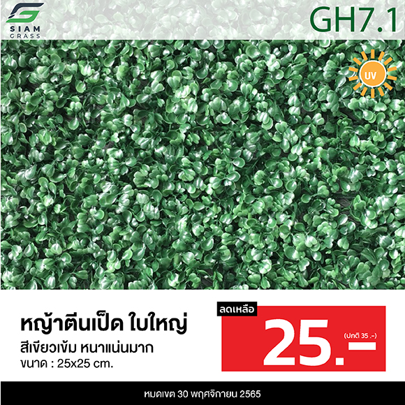 หญ้าเทียม