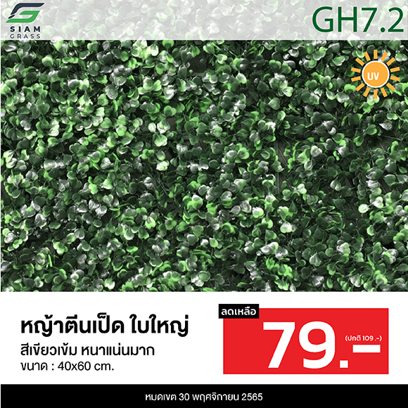 หญ้าเทียม