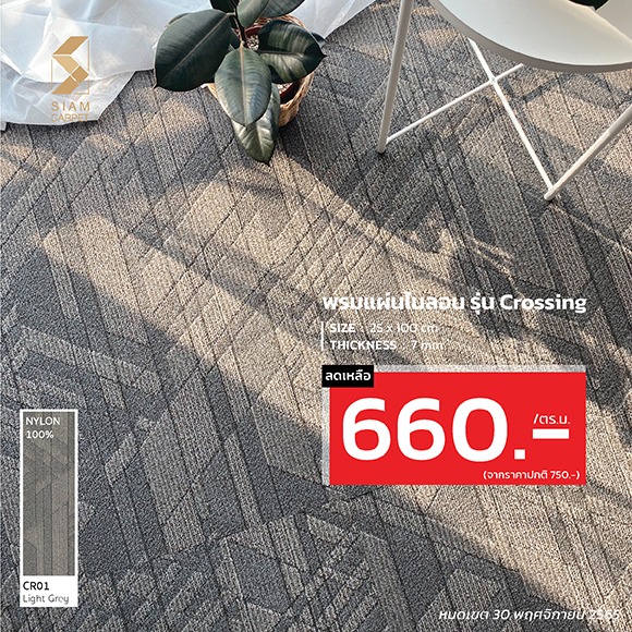 พรมแผ่น