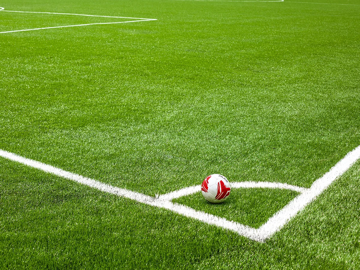 มาทำความรู้จัก “หญ้าเทียม” กันเถอะ!